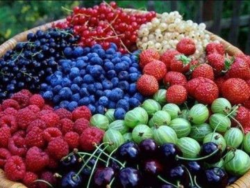 Суд конфіскував у пенсіонерки 70 кг фруктів, які вона продавала з рук у Луцьку