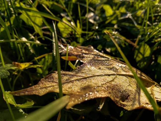 Осінній ранок у Луцьку. ФОТО