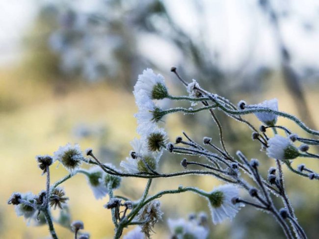 Осінній ранок у Луцьку. ФОТО