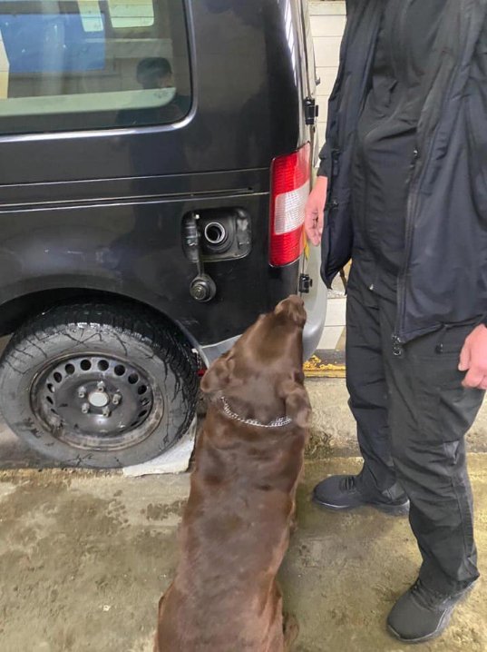 На волинській митниці в авто знайшли понад 20 кілограм контрабандних пігулок. ФОТО