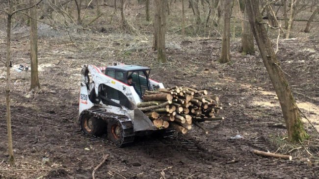 У Луцьку розчищають зелену зону біля центрального парку. ФОТО