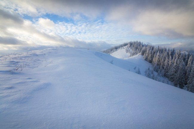 Луцький фотограф поділився світлинами засніжених Карпат