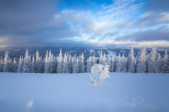 Луцький фотограф поділився світлинами засніжених Карпат