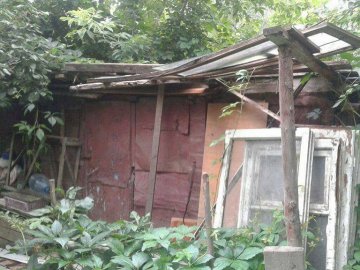 З луцького двору муніципали вивезли цілу вантажівку сміття. ФОТО