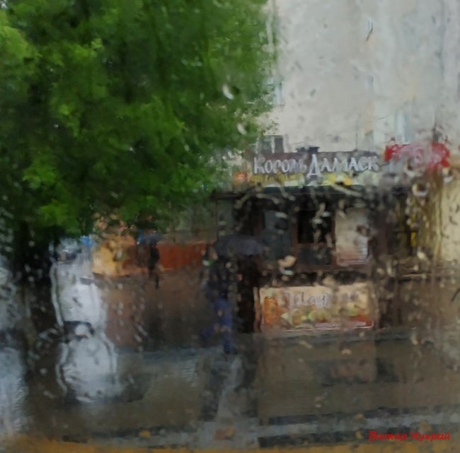 Луцький фотограф поділився «дощовими» світлинами