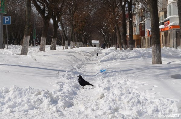 Луцьк після снігопаду. ФОТО