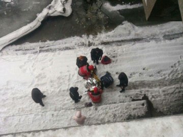 У Черкасах жінка дивом врятувалась після падіння з мосту