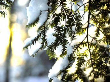 Коли в Україні суттєво потепліє та коли потім знову повернуться морози