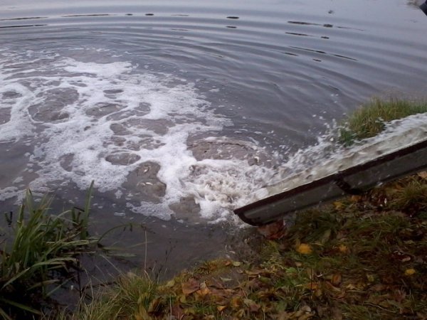У Теремнівський ставок запустили рибу. ФОТО