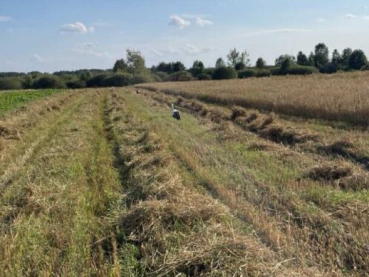 Пора жнив на Волині: які ціни на молотіння у селах