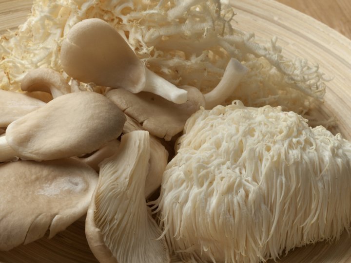 Їжовик гребінчастий: що це за гриб та що в ньому цінного