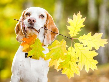 5 вересня – яке сьогодні свято і що не можна робити в цей день