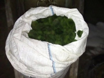 На Волині впіймали браконьєрів, які збирали водорості для очищення води