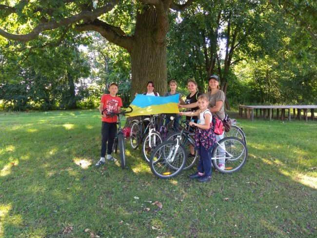 У селі на Волині негода повалила пам'ятного дуба. ФОТО