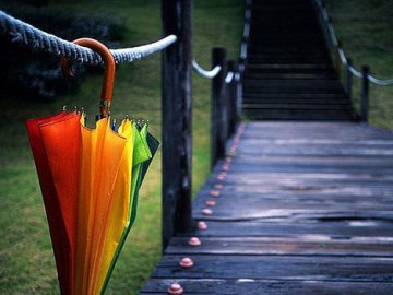 Діставайте парасолі: погода в Луцьку на неділю, 15 липня