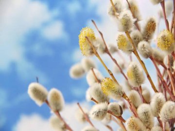 20 квітня – яке сьогодні свято і чому важку роботу потрібно відкладати на потім