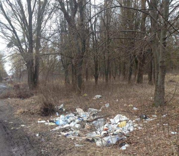 Волиняни під час ранкових пробіжок прибирають засмічені території. ФОТО