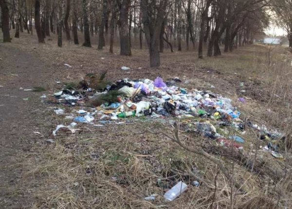 Волиняни під час ранкових пробіжок прибирають засмічені території. ФОТО