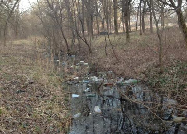 Волиняни під час ранкових пробіжок прибирають засмічені території. ФОТО