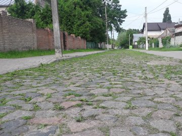 Туристам на сміх: історична частина Луцька заросла травою. ФОТО