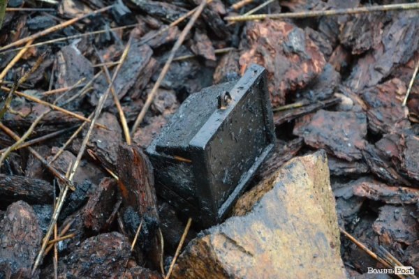 Що залишилося від маєтку Василя Столяра. ФОТО