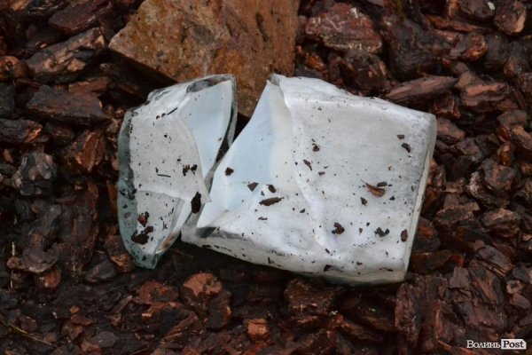 Що залишилося від маєтку Василя Столяра. ФОТО