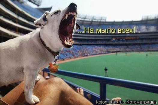 Суддю матчу Україна-Англія «розстріляли впритул з кулемета». ФОТО