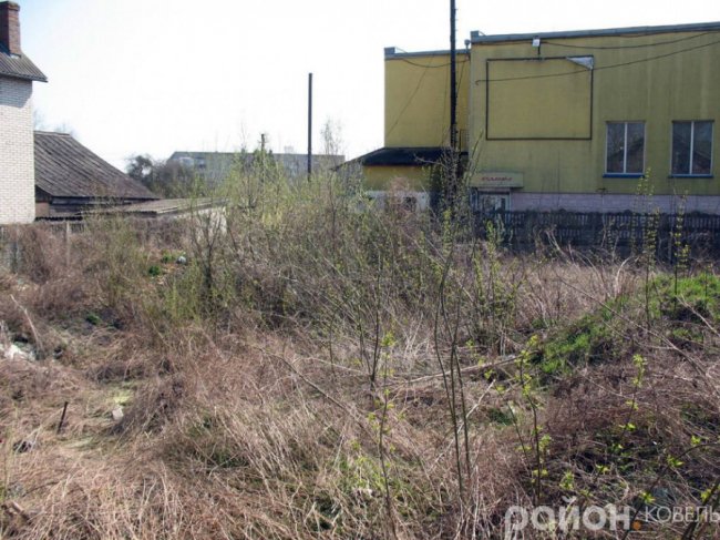 Закинуту ділянку у центрі Ковеля окупували вужі. ФОТО