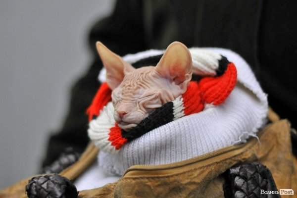 Завокзальний ринок. БУДНІ МІСТА