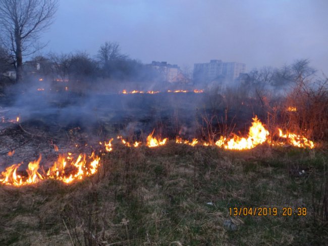 Вогонь вже підбирався до будинку: у Луцьку через палія сухостою ледь не загорілась хата. ФОТО