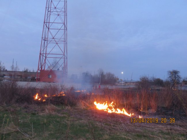 Вогонь вже підбирався до будинку: у Луцьку через палія сухостою ледь не загорілась хата. ФОТО