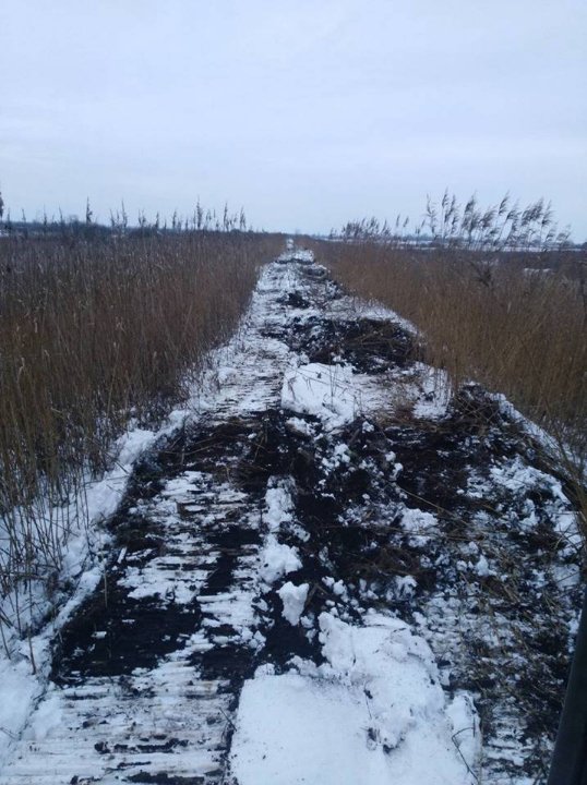 На Волині відремонтували дамби, які понищили бобри. ФОТО