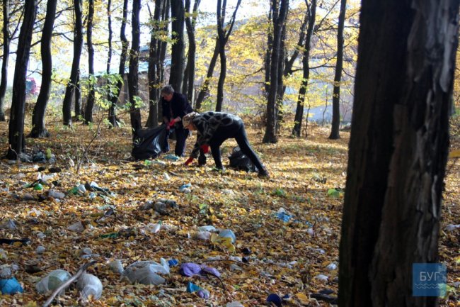 Вивезли цілий припіч сміття: як на Волині прибирали ліс. ФОТО