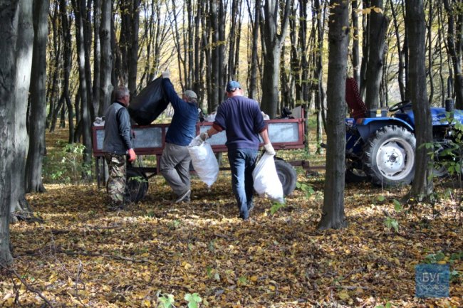 Вивезли цілий припіч сміття: як на Волині прибирали ліс. ФОТО