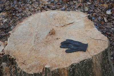 Під Луцьком попрацювали «сарумани». ФОТО