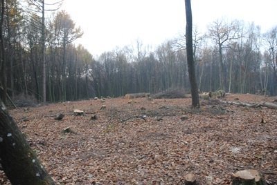 Під Луцьком попрацювали «сарумани». ФОТО