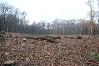Під Луцьком попрацювали «сарумани». ФОТО