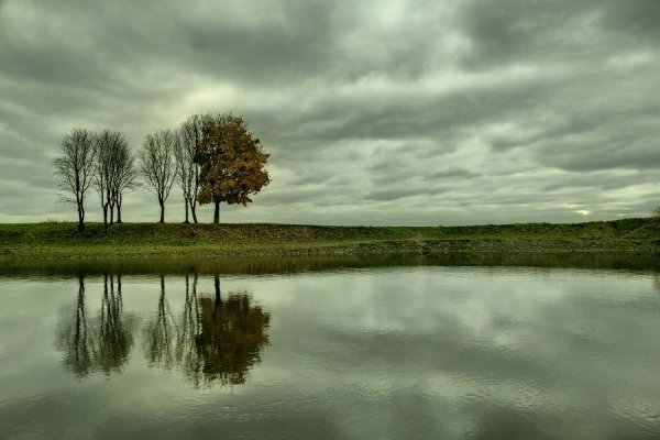 Стир (Жовтень 2012)