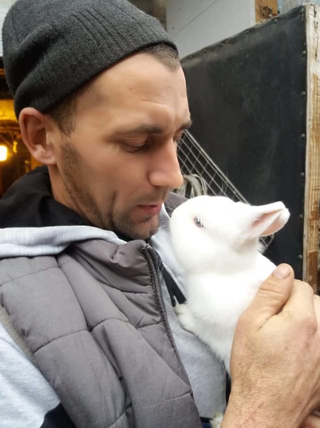 Від англійських строкачів до французьких баранчиків: волинянин розводить 12 порід кролів. ФОТО