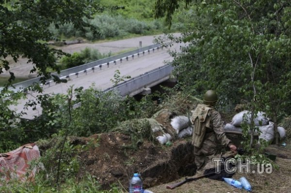 Терористи розташувались в окопах та сховали БМП у хащах. ФОТО