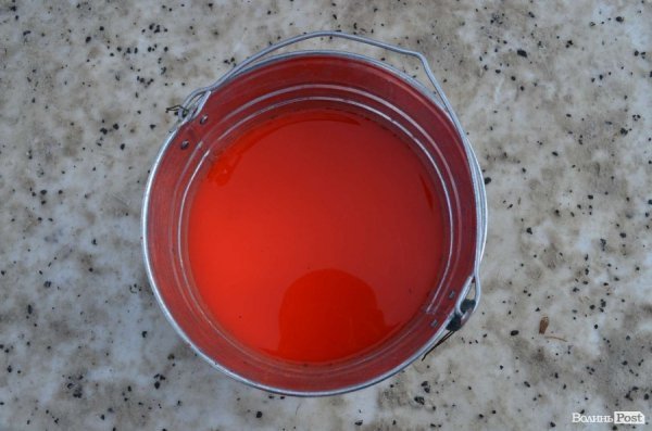 У Луцьку - сутички мітингувальників з міліцією. ФОТО. ВІДЕО