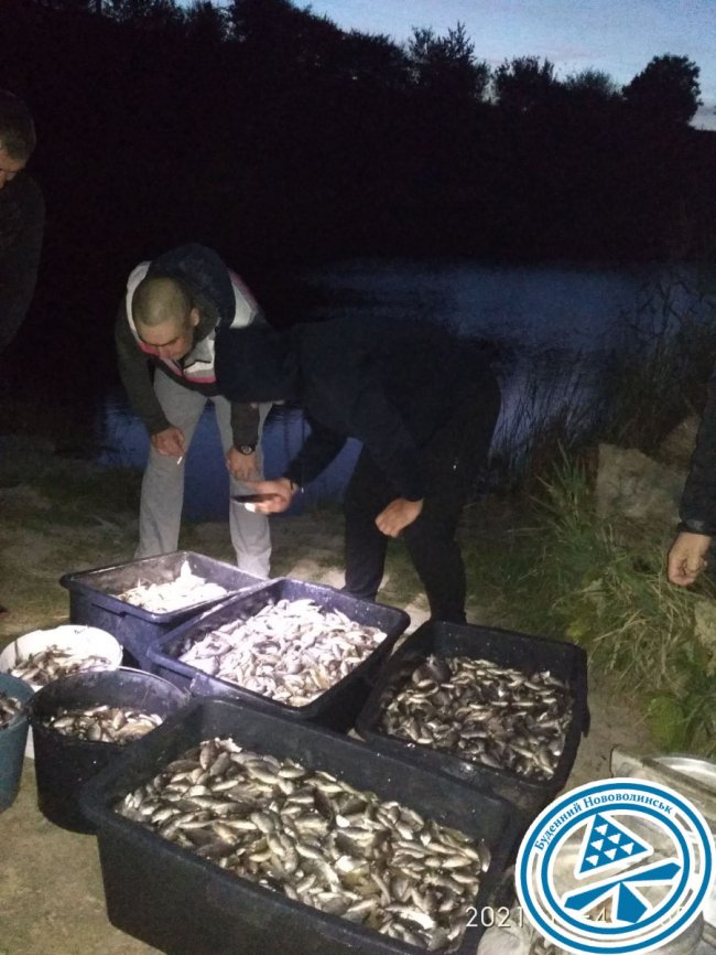 300 кг карася випустили нововолинські рибалки у місцеву водойму.ФОТО