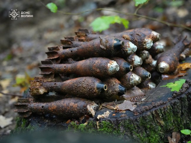 На Волині сапери знищили 96 боєприпасів Другої світової війни