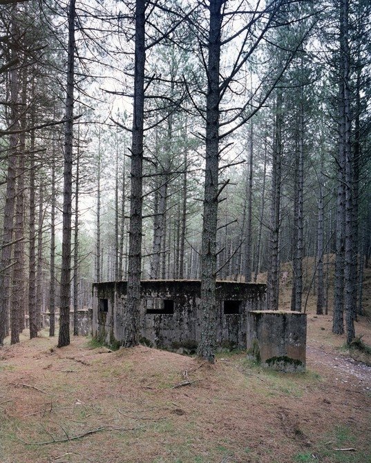 Морей, Шотландія