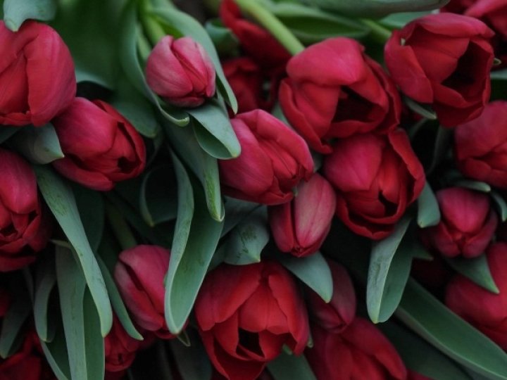 Якою буде погода у Луцьку та на Волині 9 квітня