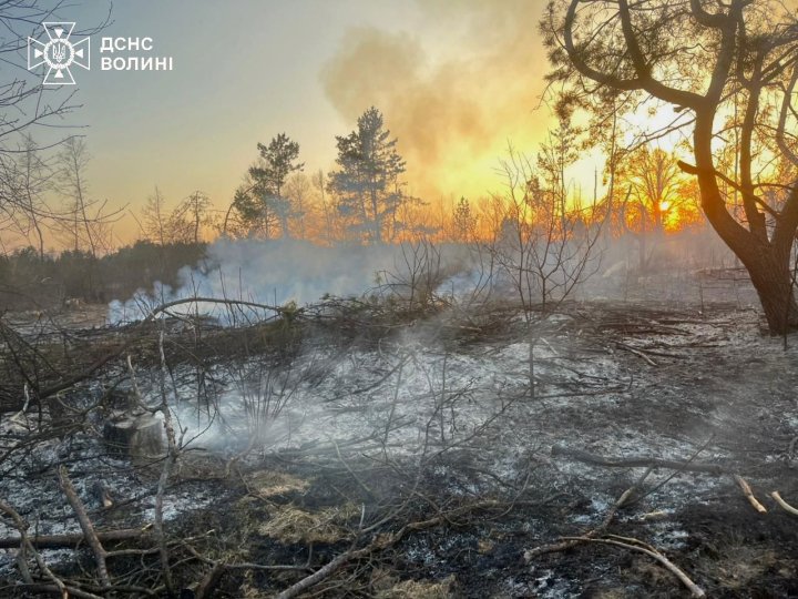 На Волині зловили 12 паліїв сухої трави: що загрожує порушникам