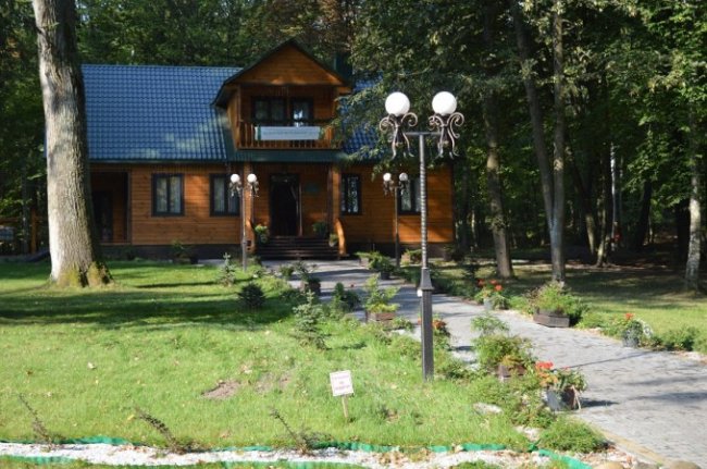 Поляки приїхали на Волинь вчитися вирощувати ліси. ФОТО