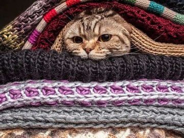 Синоптики попередили про заморозки в Україні