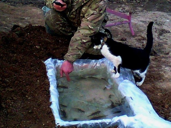 Фото з передової: військові та їх улюбленці. ФОТО