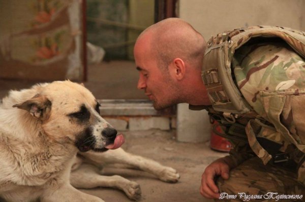 Фото з передової: військові та їх улюбленці. ФОТО